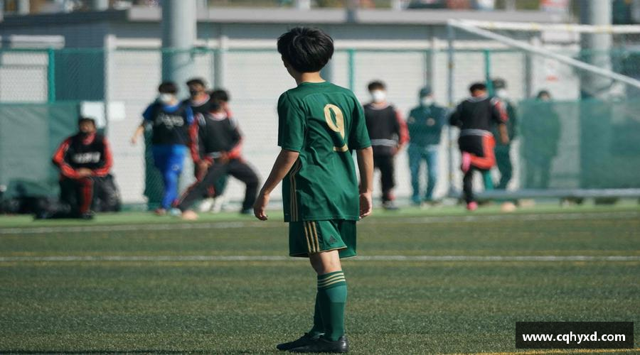 解读DG视讯注册登录